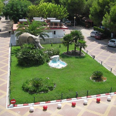 Camping L'Alqueria Gandía Exterior photo