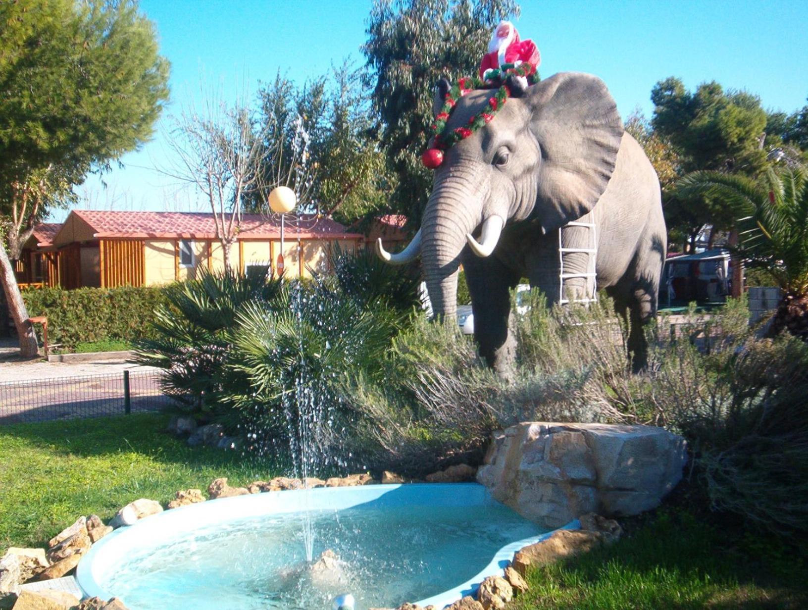 Camping L'Alqueria Gandía Exterior photo